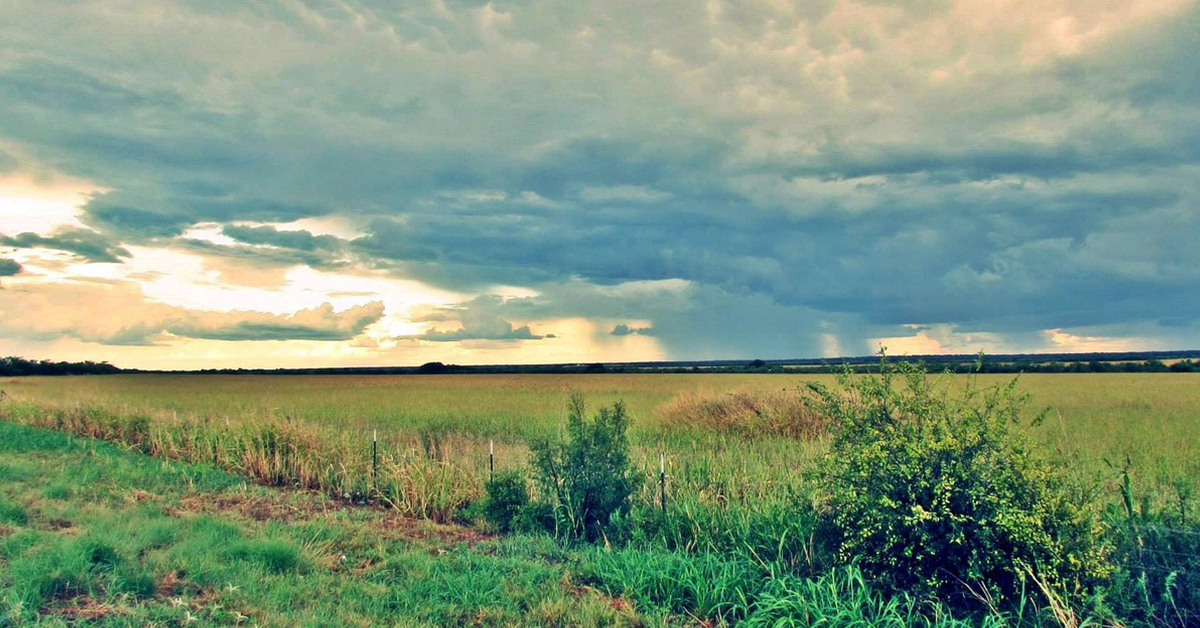 Six Fun Activities Near Crosbyton Texas